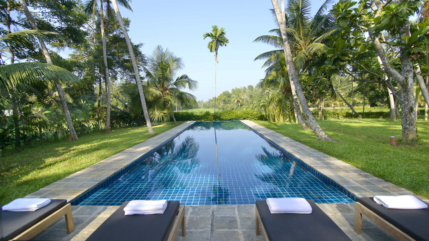 Dip in the amazingly long swimming pool surrounded by greenery view